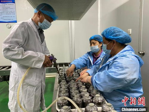 福建邵武农业产业绿色优质高效发展路径探索——以食用菌产业壮大与农业科研为驱动