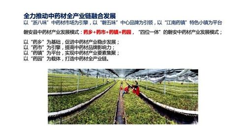 欧赛斯深度研究 金华区域农产品发展与农业科技创新之路