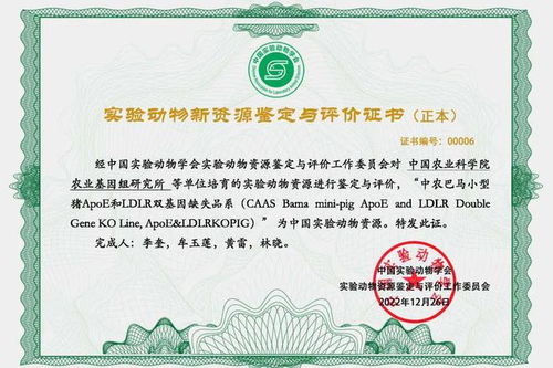 中国农科院基因组所成功培育基因编辑小型猪并获认证