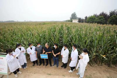 第29届农高会回眸 奏响乡村振兴的雄浑乐章，农业科学研究和试验发展的新引擎