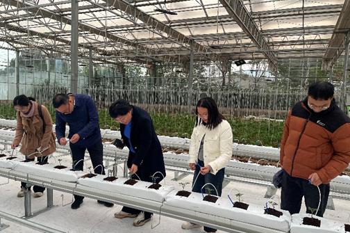 校院联动探路径 智慧农业谋新篇 ——我校与郑州市农业科技研究院信息技术研究所交流互访纪实