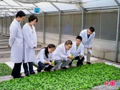 科技创新 驱动烟草产业高质量发展的云南实践