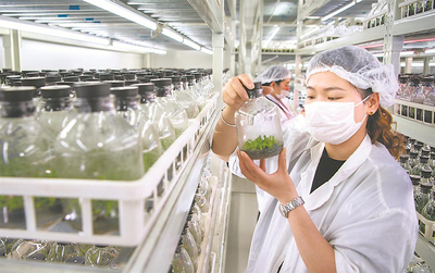 精育“增收苗” 农业科学研究的活力与未来