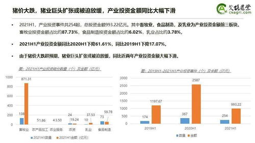 2021年中国农业食品投资半年报 农业科学研究和试验发展